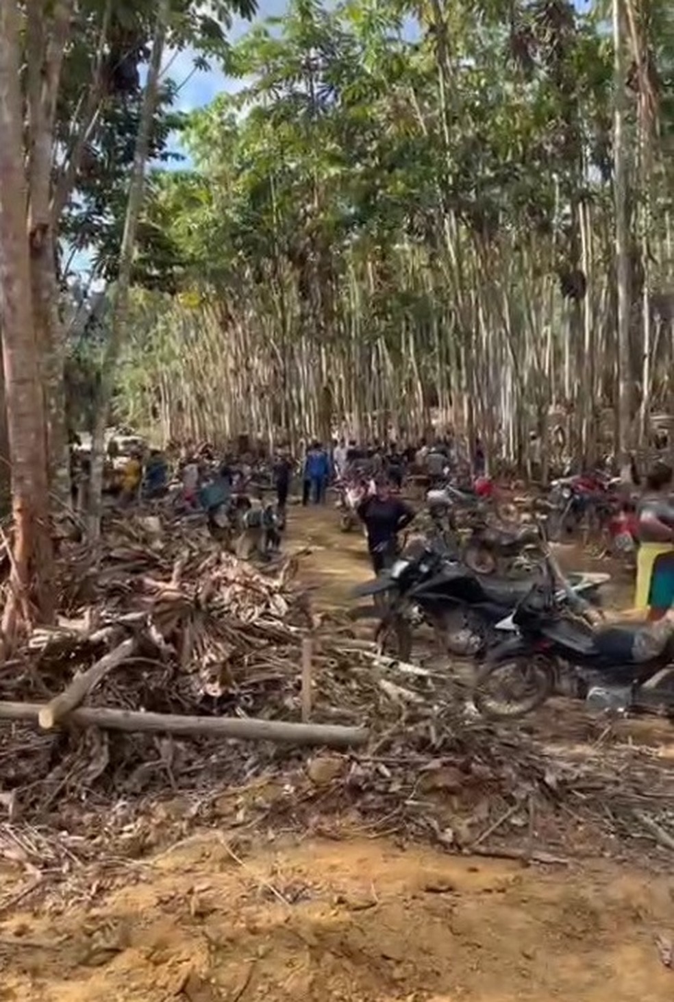 Candidato grava vídeo em área proibida de terra indígena no Pará. — Foto: Reprodução / Arquivo pessoal