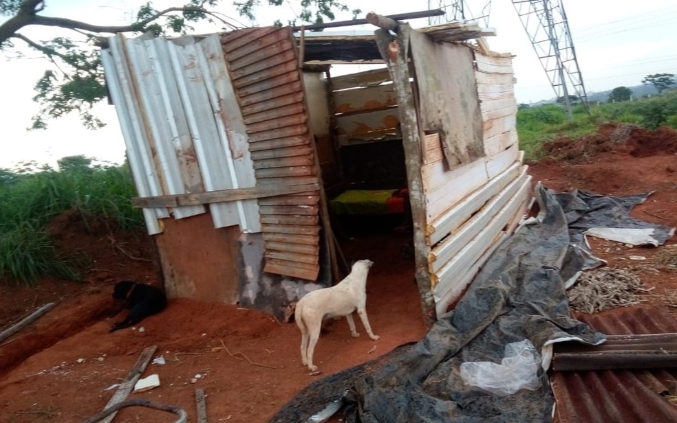 Família vive em cômodo improvisador com pedaços de madeira e lona, em Aparecida de Goiânia — Foto: Arquivo pessoal/Maria Joana Vieira