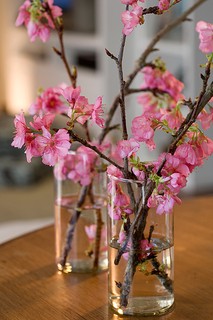 Galhos de cerejeira ficam lindos em vasos cilíndricos – que podem ser até copos de vidro