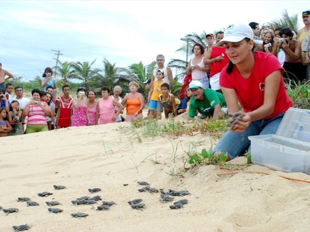 Soltura de tartarugas marinhas em Anchieta (Foto: Renan Alves/Prefeitura de Anchieta)