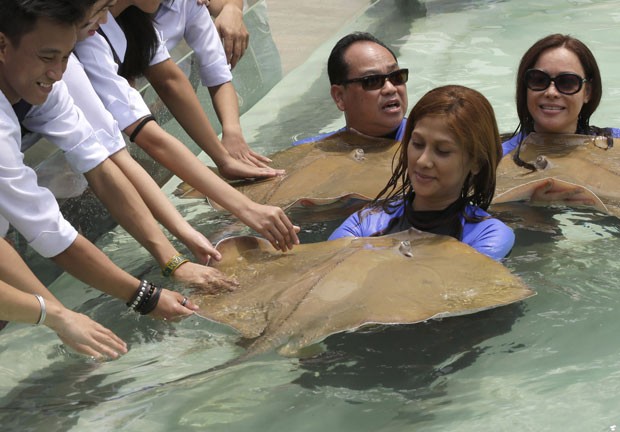 Saiba como é nadar com arraias em Stingray City, nas Ilhas Cayman