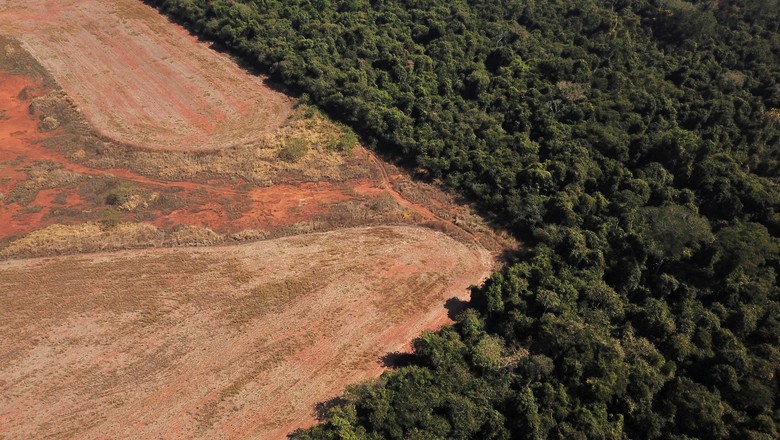 Vista aérea de área desmatada da Amazônia no Mato Grosso (Foto: REUTERS/Amanda Perobelli)