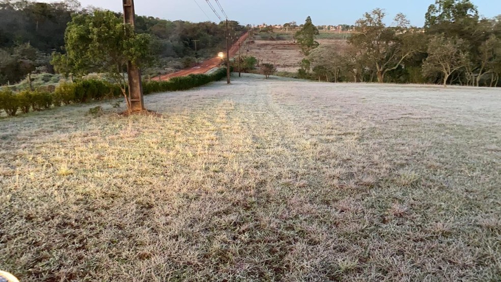 Geada em Ponta Porã, na fronteira com o Paraguai — Foto: Martim Andrada/TV Morena