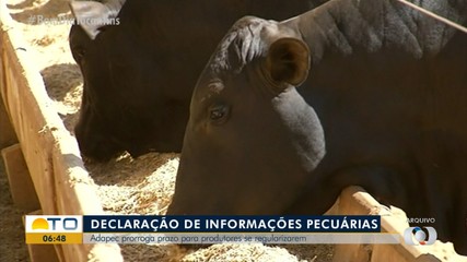 Adapec prorroga prazo para declaração de informações pecuárias