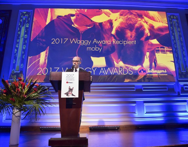 HOLLYWOOD, CA - MARCH 19:  Musician and animal rights activist Moby speaks onstage at The Tailwaggers Foundation, 2017 Waggy Awards at Taglyan Cultural Complex on March 19, 2017 in Hollywood, California.  (Photo by Rodin Eckenroth/Getty Images for The Tai (Foto: Getty Images for The Tailwaggers)