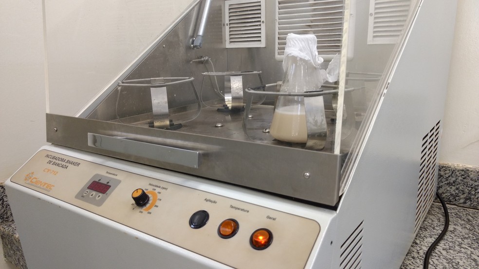 Preparação de fermento para a produção da cerveja saudável em Araraquara — Foto: Deborah Oliveira De Fusco/Unesp