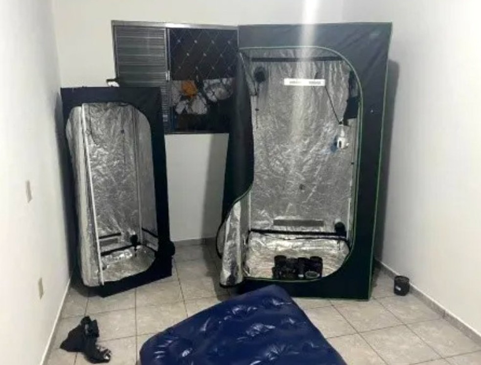 Policiais militares encontraram estufas na casa em Araraquara — Foto: Arquivo pessoal
