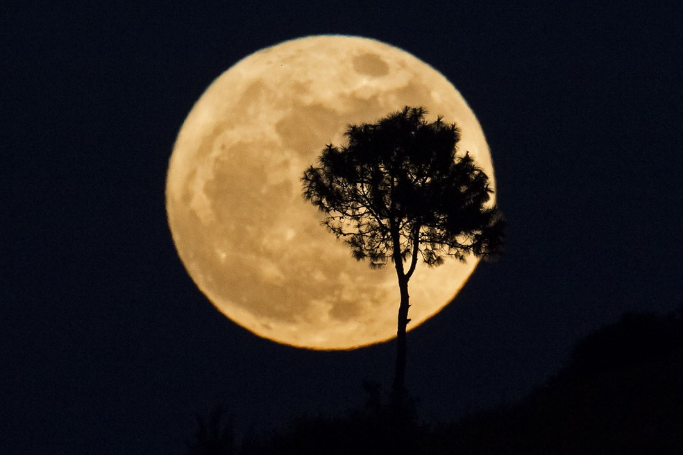 A silhueta de uma árvore é vista com Superlua ao fundo em Heho, na Birmânia, em novembro do ano passado (Foto: Ye Aung Thu/AFP)