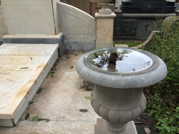 Cemitério da Consolação tem focos de reprodução do mosquito da dengue (Foto: Paula Paiva Paulo)