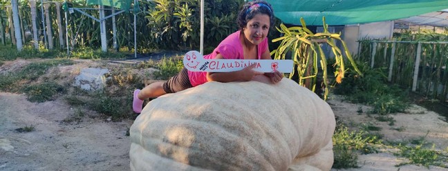 Casal de portugueses produz abóbora 'gigante' de 730 kg e batiza de 'Claudinha' — Foto: Reprodução
