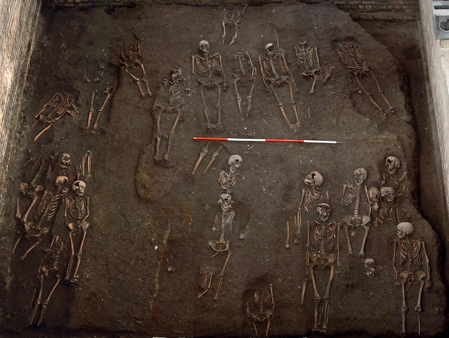 Esqueletos encontrados durante as escavações do hospital, em 2010 (Foto: Cambridge Archaeological Unit/St John's College)