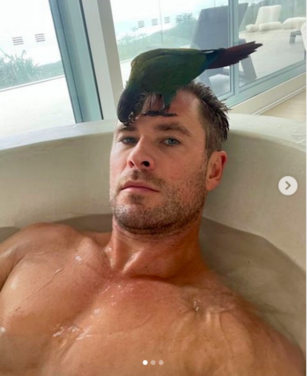O ator Chris Hemsworth tomando banho com o papagaio da família na cabeça, em foto compartilhada pela atriz Elsa Pataky (Foto: Instagram)
