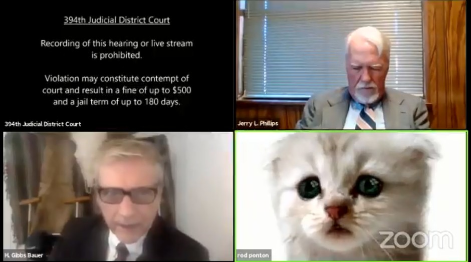 O advogado entrou com o filtro de gato na reunião (Foto: Reprodução)