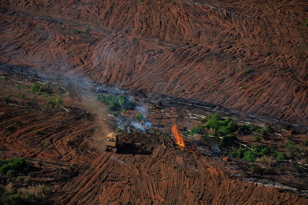 Área da Amazônia desmatada em Juara (MT) — Foto: Divulgação