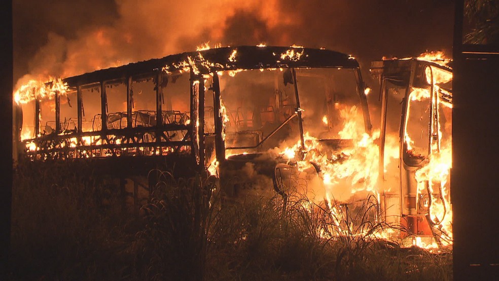 Ônibus atingidos por incêndio em garagem do Grupo Amaral — Foto: Reprodução/TV Globo