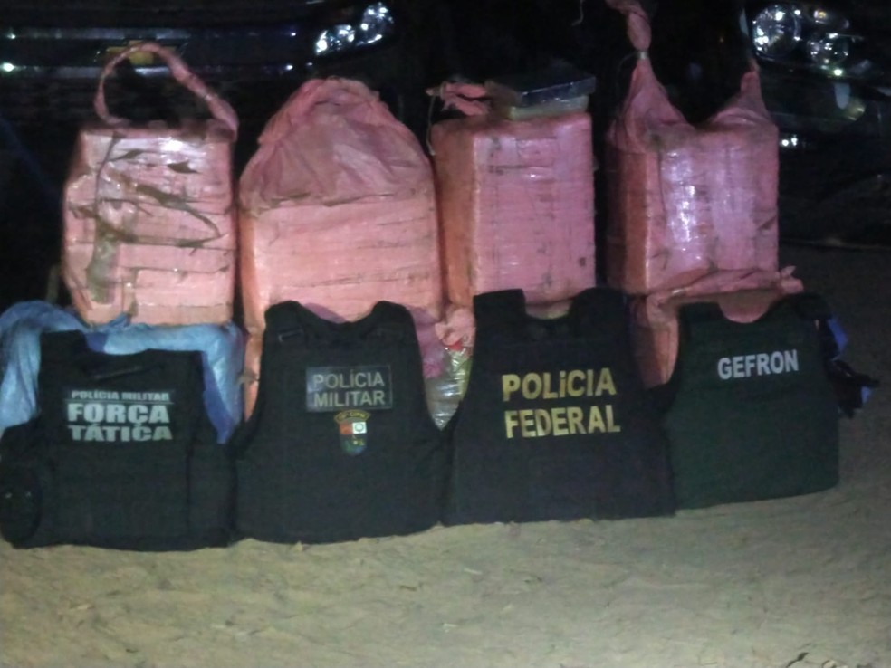Ação conjunta apreendeu quase 300 kg de drogas em avião em MT — Foto: Polícia Federal