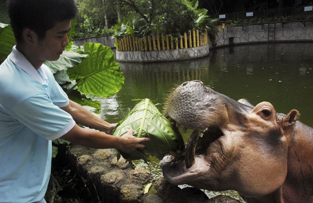 Hipopótamo parecia sorrir ao ser alimentado em um zoológico de Shenzhen (Foto: China Daily/Reuters)
