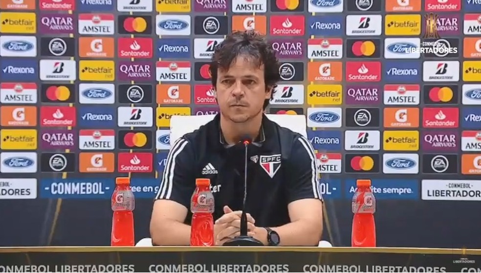 Fernando Diniz durante entrevista coletiva após a eliminação do São Paulo na Libertadores — Foto: Reprodução