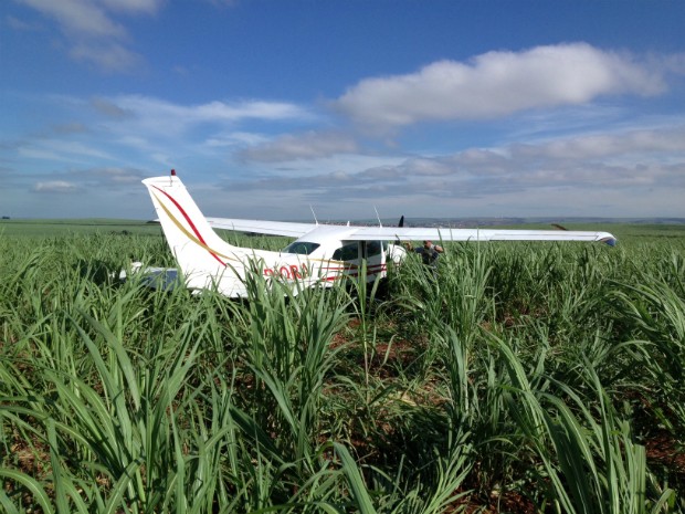 Avião carregado com a droga pousou no canavial entre Igaraçu e São Manuel (Foto: André Godinho/ TV Tem Bauru)