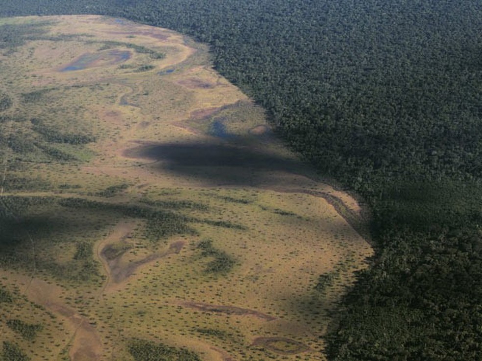 Foto mostra porção do Parque Nacional do Xingu, em Mato Grosso, que foi desmatada  — Foto: Ueslei Marcelino/Reuters