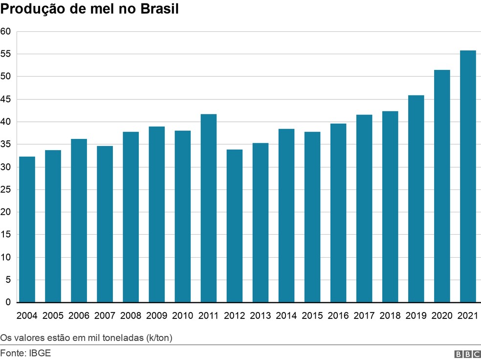 Produção de mel no Brasil — Foto: BBC