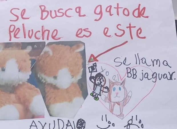 Menina de 7 anos pede recompensa para quem ajudar a encontrar seu bicho de pelúcia (Foto: Reprodução/Twitter)