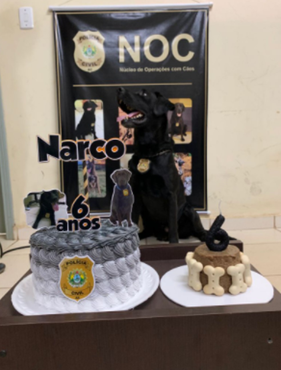 Cão Narco completou seis anos nessa sexta-feira (27) — Foto: Arquivo/Polícia Civil