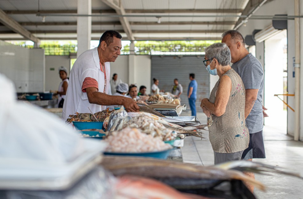 Centro Pesqueiro do Jaraguá funciona normalmente no feriado, Maceió, Alagoas — Foto: Celio Junior/Secom Maceió