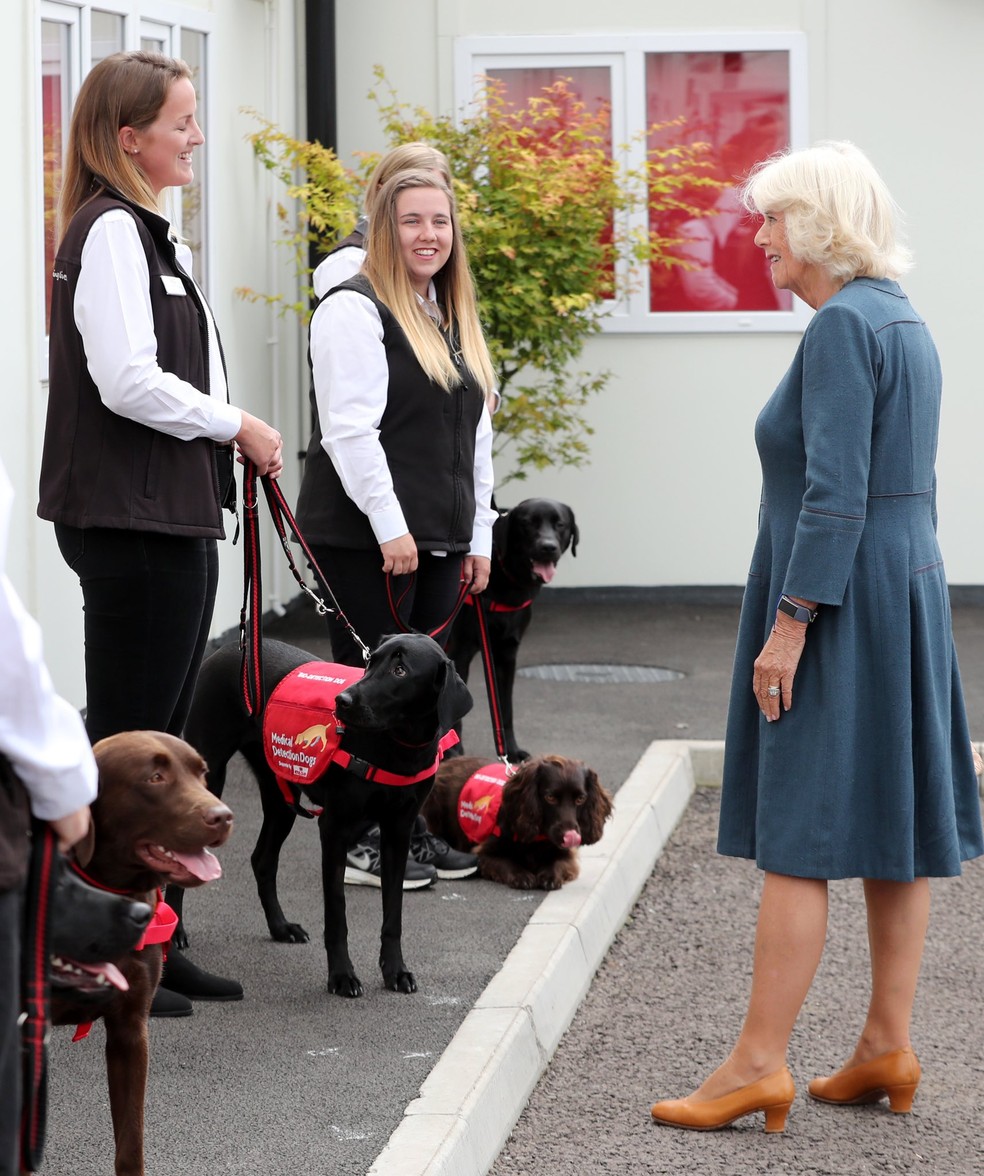Rainha consorte, Camilla, enquanto ainda era duquesa, em evento da Medical Detection Dogs — Foto: Reprodução/Clarence House