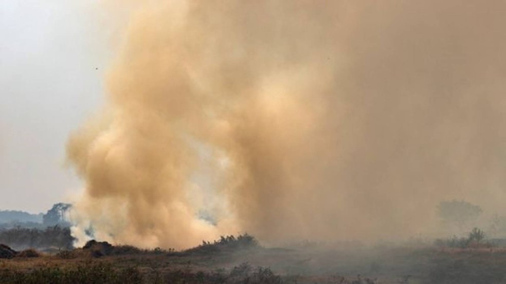 Queimadas de grandes proporções afetam cidades próximas ao Pantanal — Foto: Ahmad Jarrah/A Lente via BBC
