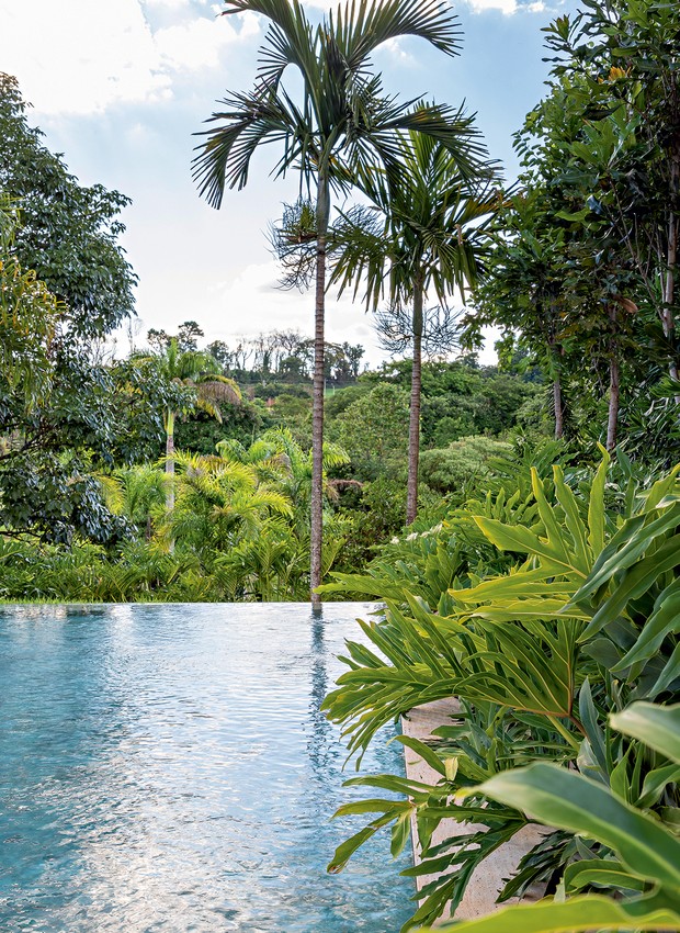 As palmeiras-carpentárias da propriedade integram-se à paisagem. Já as folhagens do guaimbê-ondulado invadem a piscina (Foto: Keniche Santos / Divulgação)