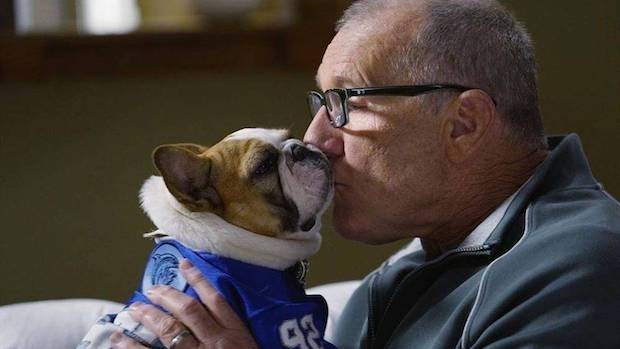 The dog Stella and Jay Pritchett in Modern Family (Photo: ABC / Reproduction)