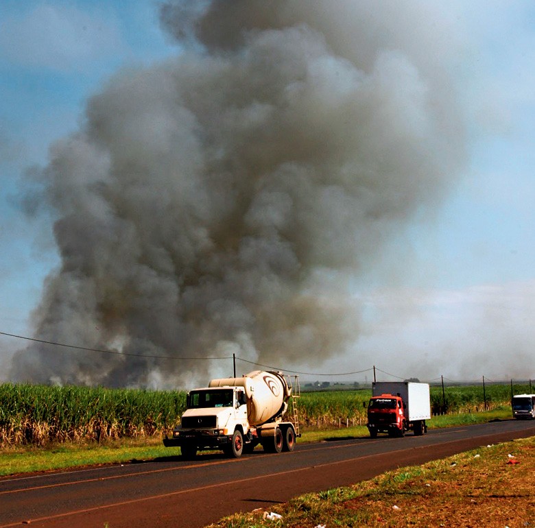 Os incêndios às margens de rodovias normalmente são provocados por bitucas acesas (Foto: Joel Silva/Folhapress)