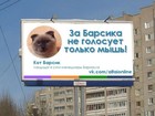 Gato lidera intenções de voto em cidade da Sibéria