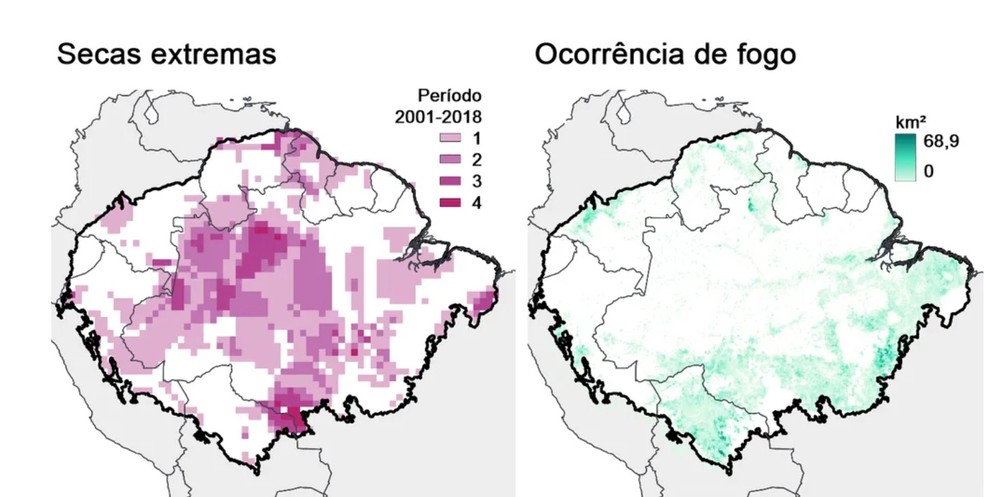 Mapas de impacto dos quatro principais fatores de degradação da floresta amazônica  — Foto: Lapola et. al/Science/reprodução