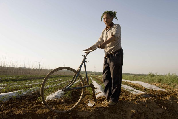  Chengsuo consegue lavrar mais de 2,5 mil metros quadrados em meio dia (Foto: China Daily/Reuters)