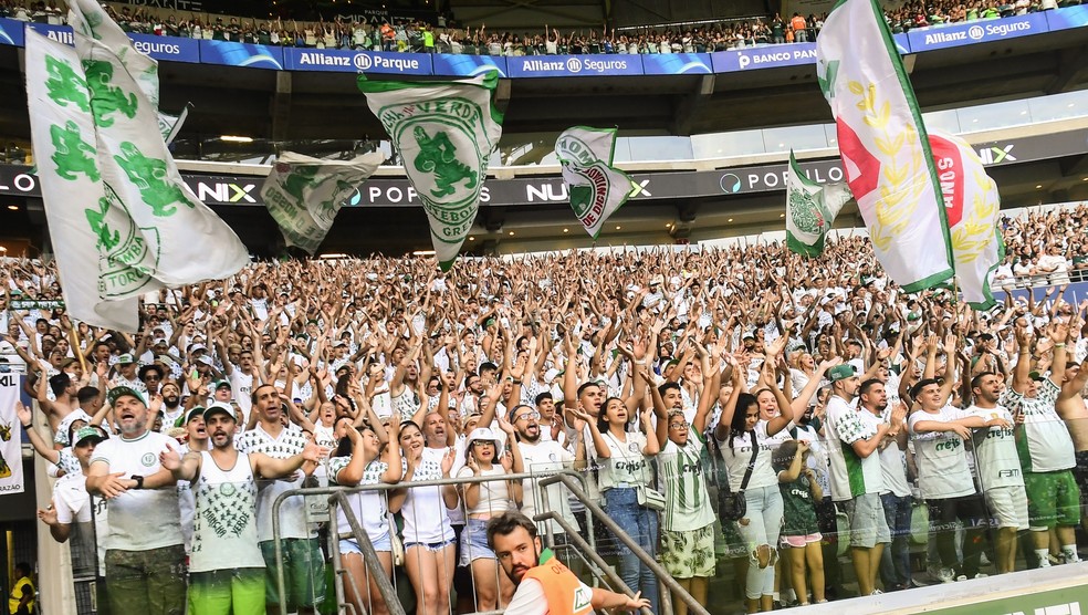 Palmeiras bate a marca de 125 mil sócios-torcedores impulsionado por plataforma digital