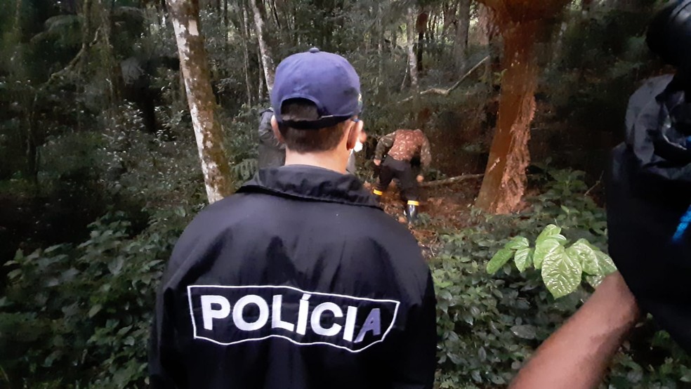 Corpos foram recolhidos pelo IML na quinta (17) — Foto: Divulgação/Polícia Civil