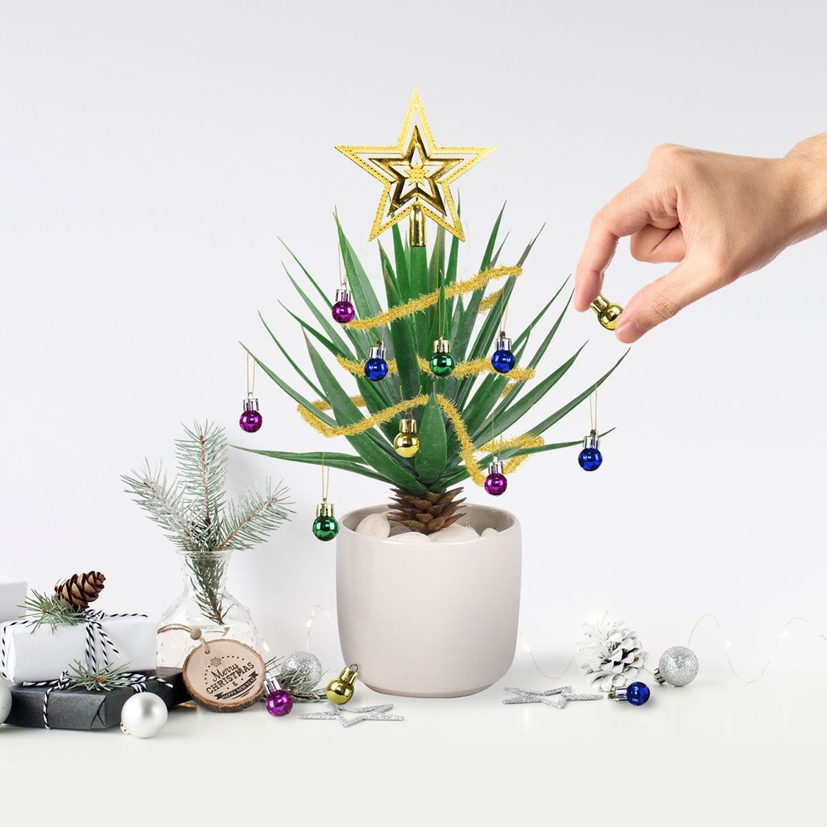 Decoração de Natal botânica: 12 ideias para aproveitar as plantas que você  já tem - Casa Vogue | Paisagismo