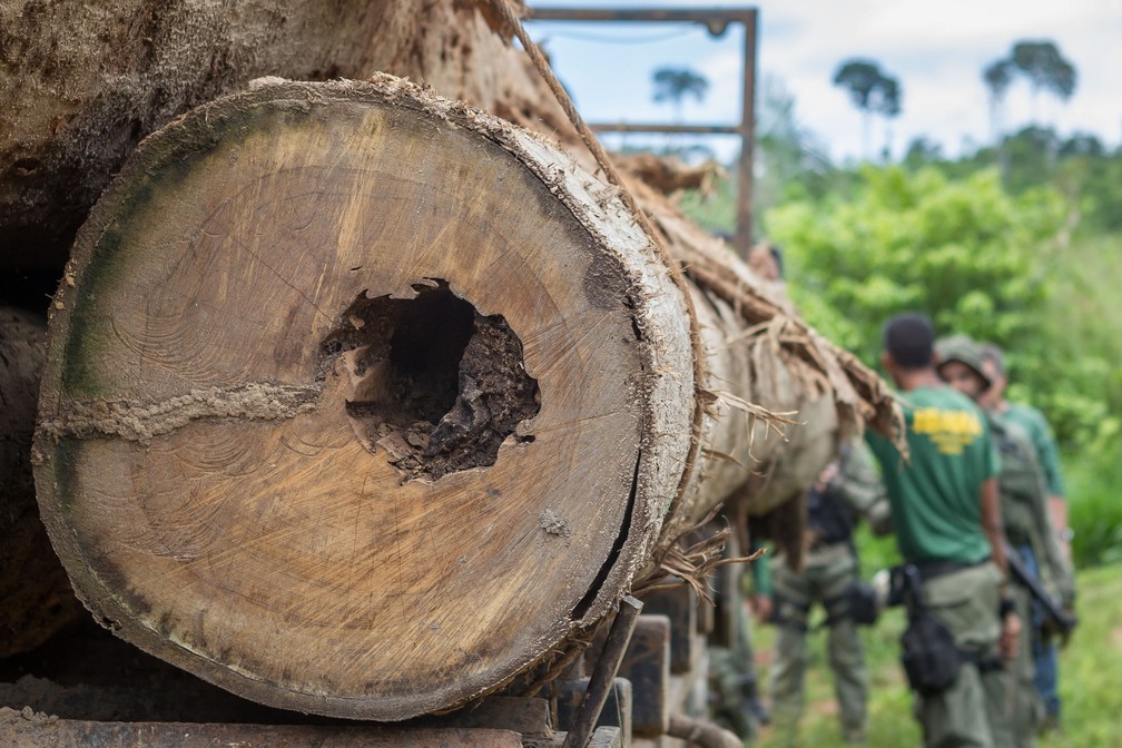 Uma das medidas contra o desmatamento ilegal será o Fundo da Amazônia, que busca arrecadar recursos com países como Alemanha e Noruega. — Foto: ASCOM/IBAMA