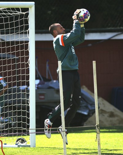 Diego Cavalieri, goleiro do Fluminense (Foto: Nelson Perez/Fluminense FC)