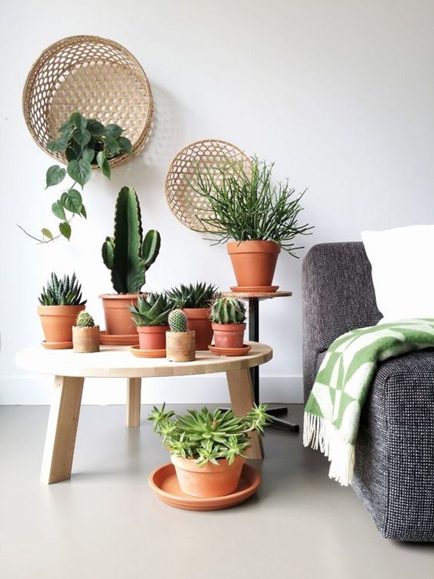 Vasos de plantas: quais os requisitos básicos para escolher - Casa Vogue |  Paisagismo