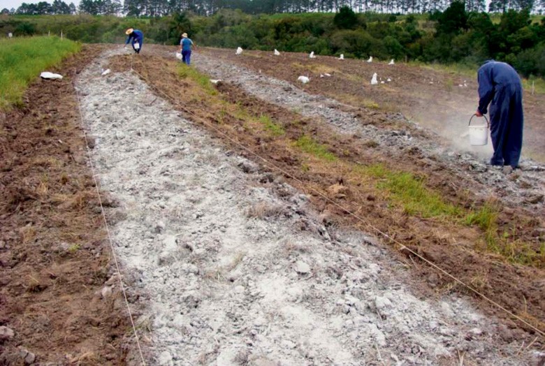 Aplicação de remineralizadores em área experimental da Embrapa (Foto: Embrapa/divulgação)