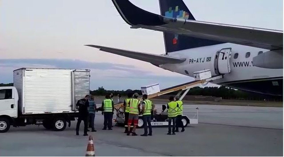 Caixas com doses da vacina contra Covid-19 são desembarcadas de avião em Vitória, no Espírito Santo — Foto: Berivânia Lisboa