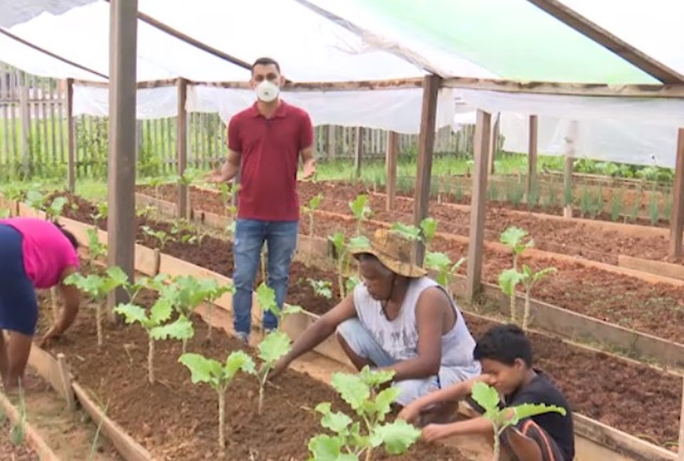 Projeto Horta Comunitária leva esperança e renda extra para a comunidade da Cidade do Povo — Foto: Reprodução/Rede Amazônica Acre