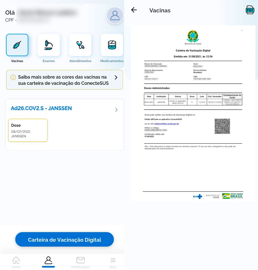 Conecte SUS: carteira de vacinação — Foto: Reprodução