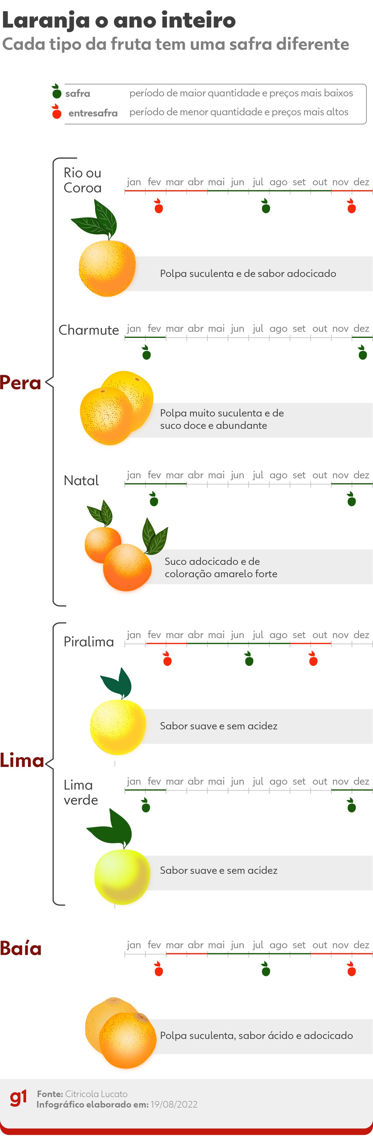 Laranja-pera, lima e baía: veja época de cada uma e quando preços caem |  Agronegócios | G1