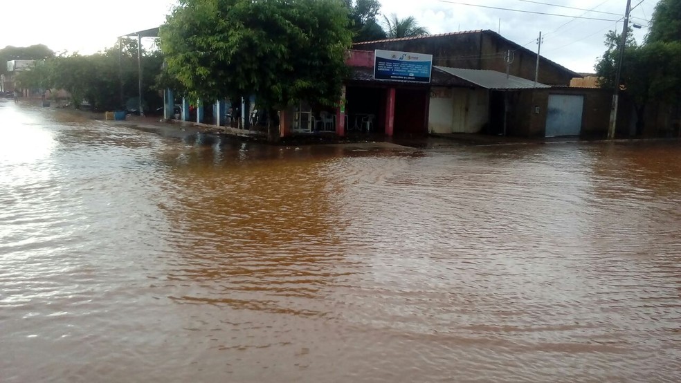 Várias áreas da cidade foram afetadas pela tempestade (Foto: Defesa Civil/Divulgação)