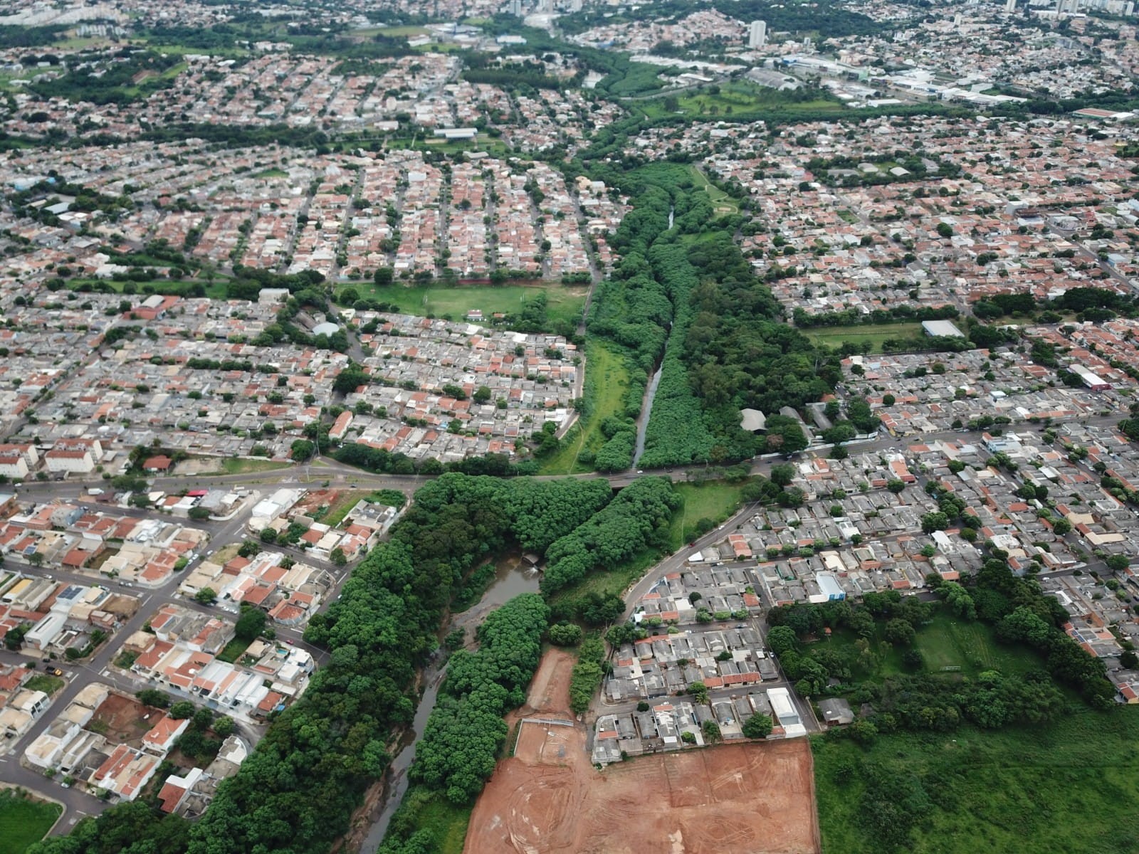 Educação ambiental é apontada como essencial para conciliar necessidades da sociedade e preservação da natureza