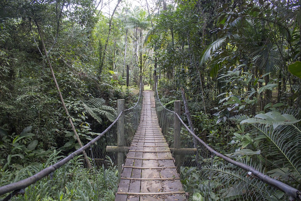Ponte para visitar o Salto Parati em Guaratuba. — Foto: Marcio Kubo
